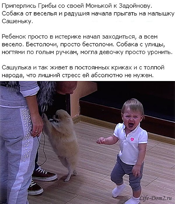 Младшая дочь Саши Задойнова едва не пострадала от собаки